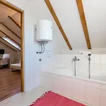 Vila Rural Wellness *